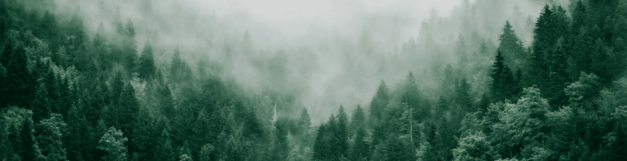 Hero Background